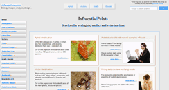 Desktop Screenshot of influentialpoints.com
